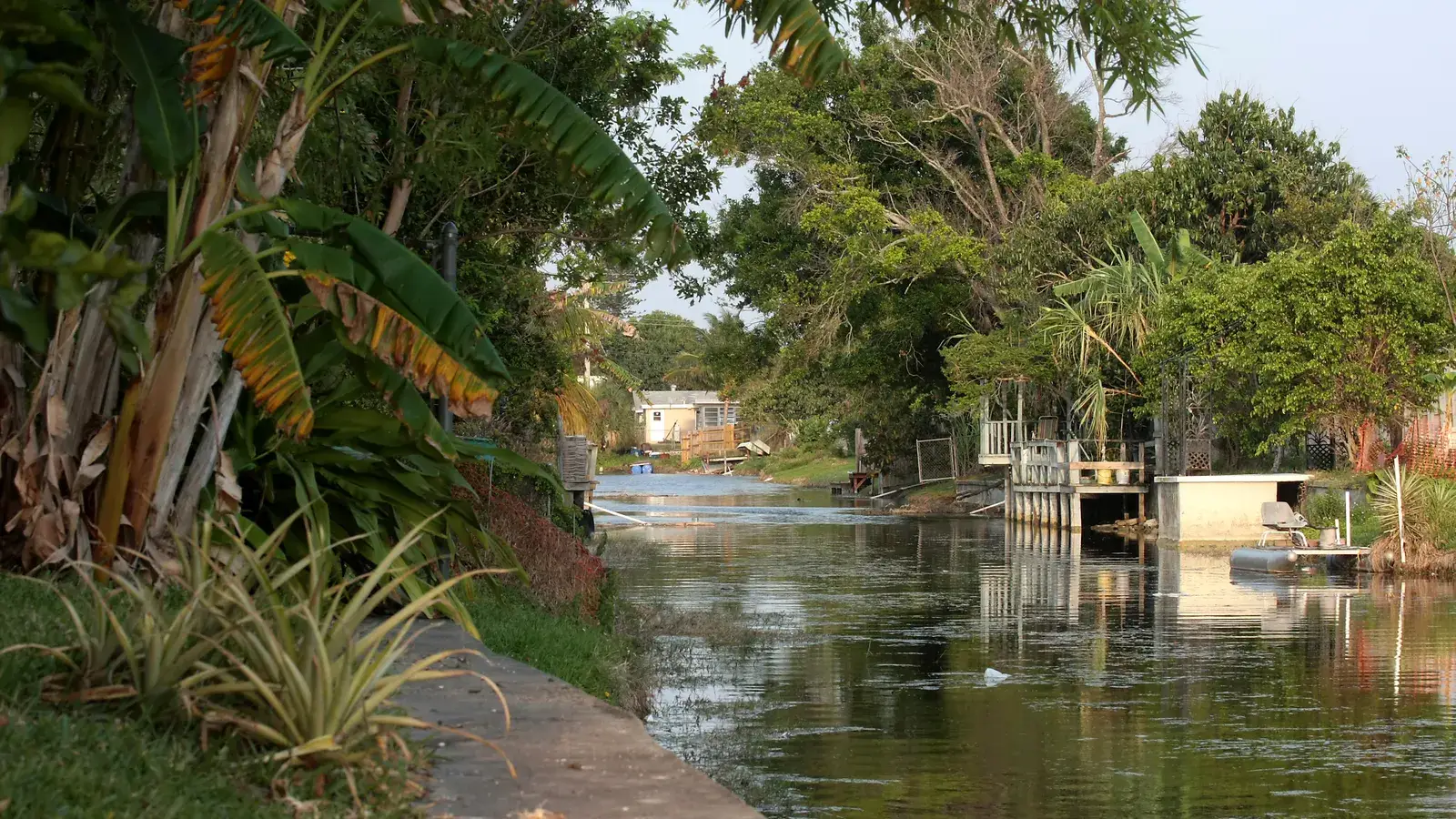 Waterfront homes along a canal in Margate, Florida