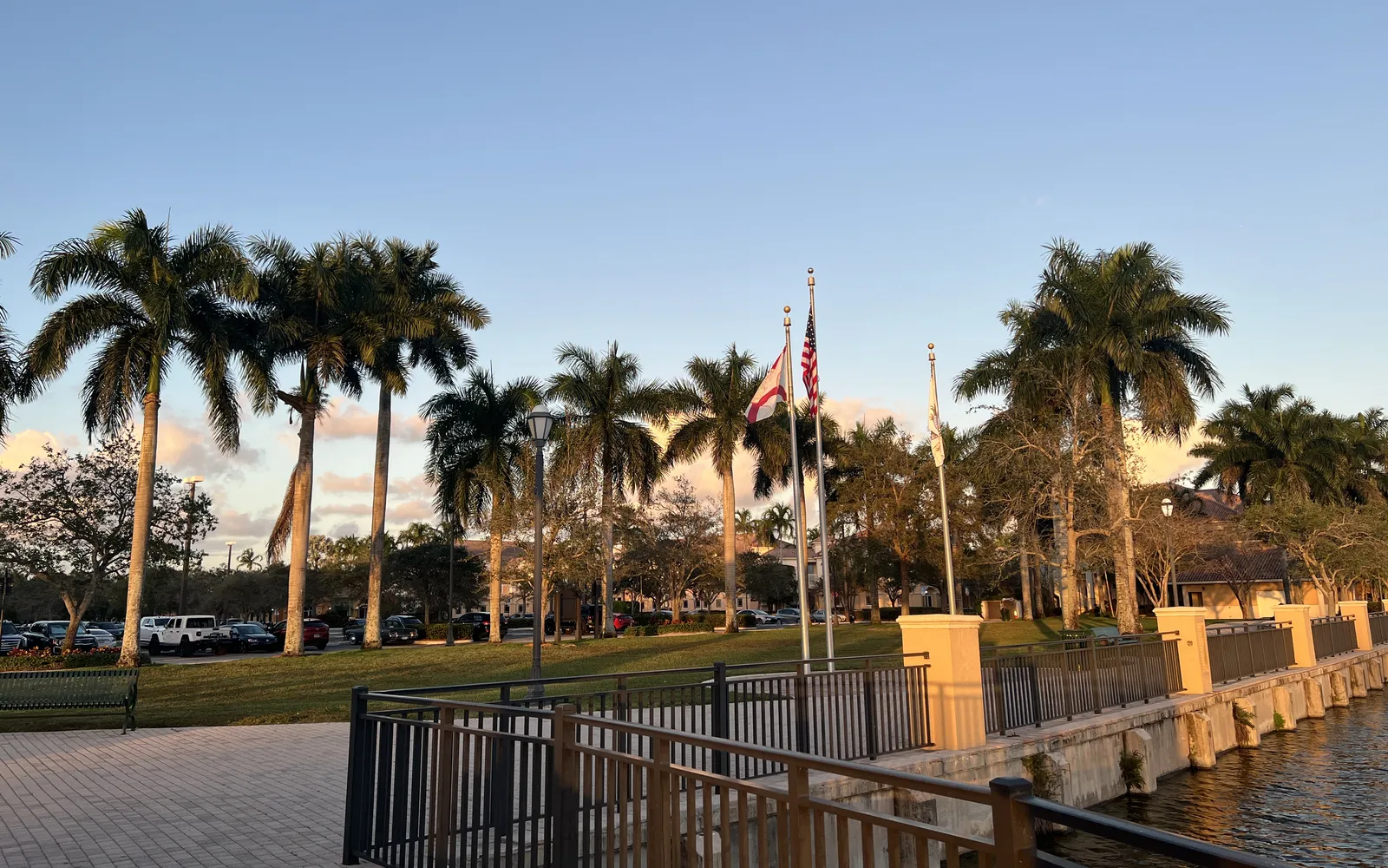 Royal palms and flags at Town Center Park by the lake in Weston, Florida